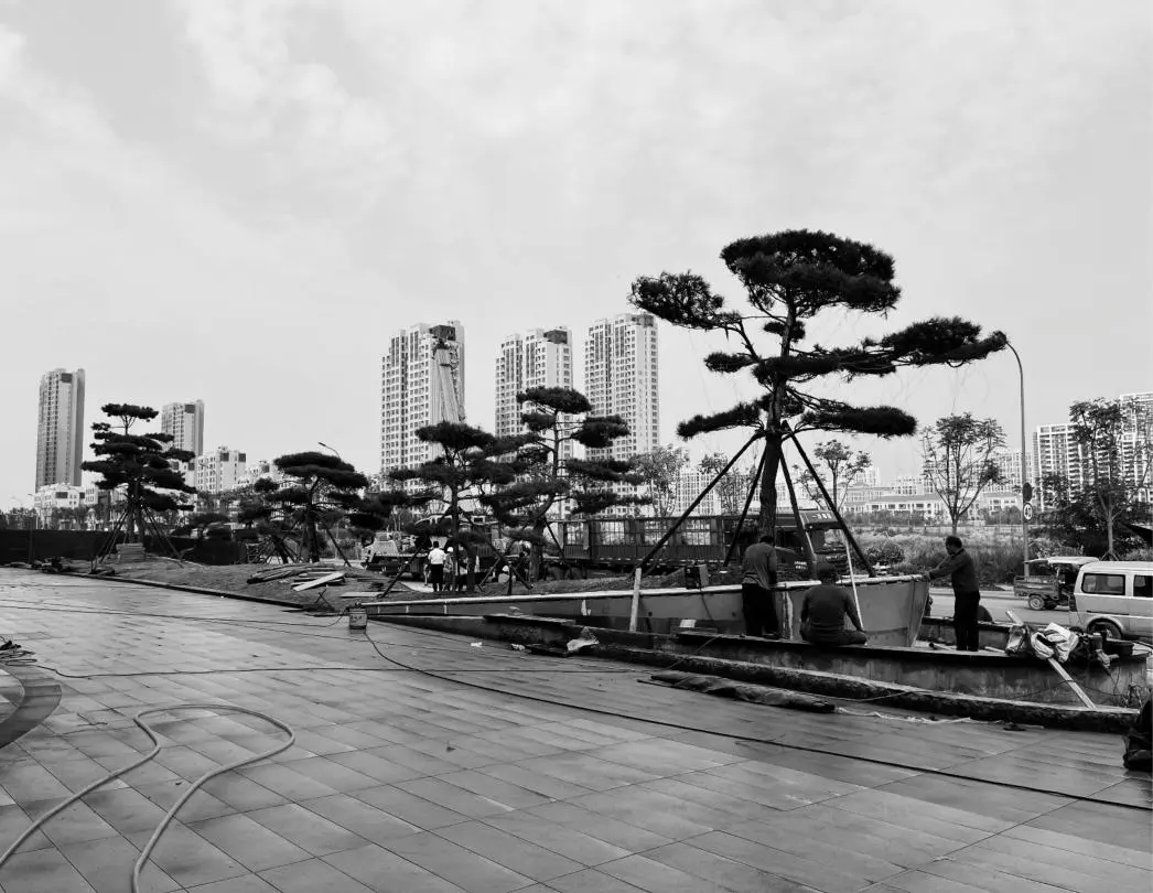 1749003871756668.jpg 1749003867843.jpg