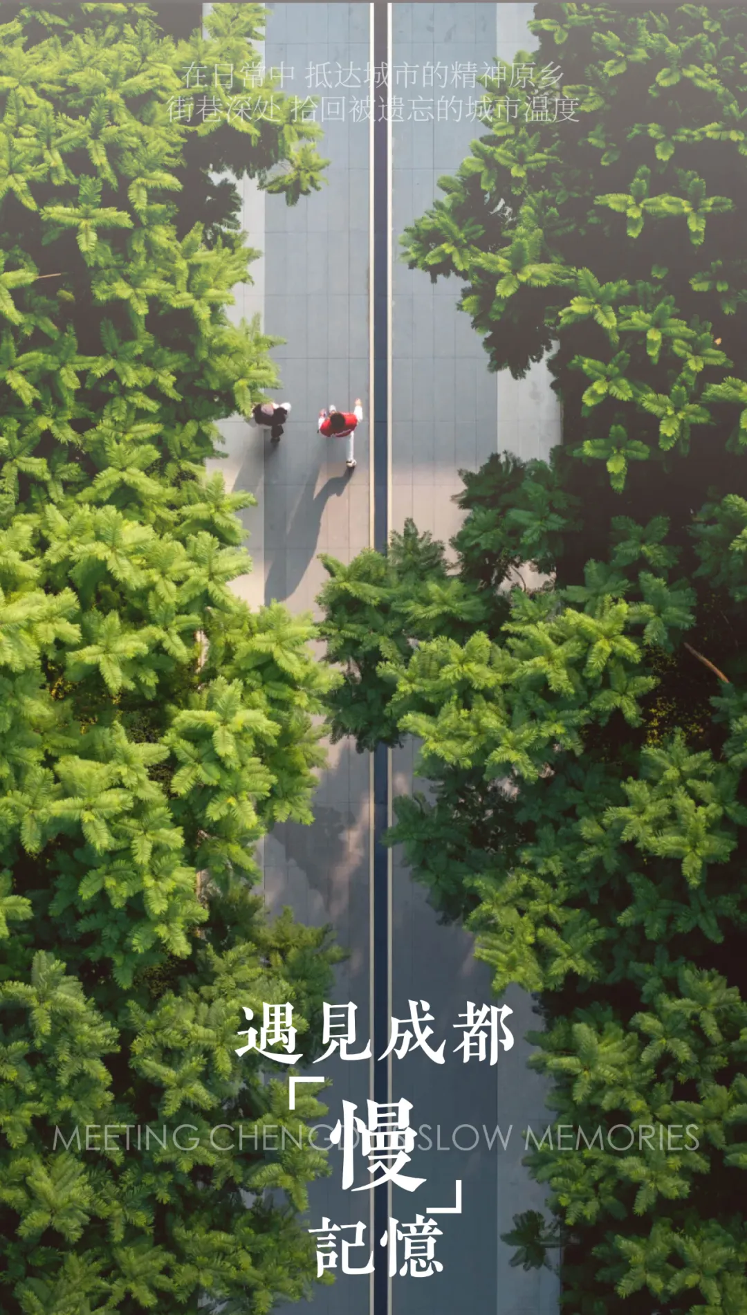 1749004850855477.jpg 1749004847595.jpg