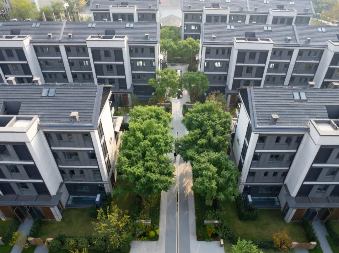 1749005046128967.jpg 1749005043641.jpg