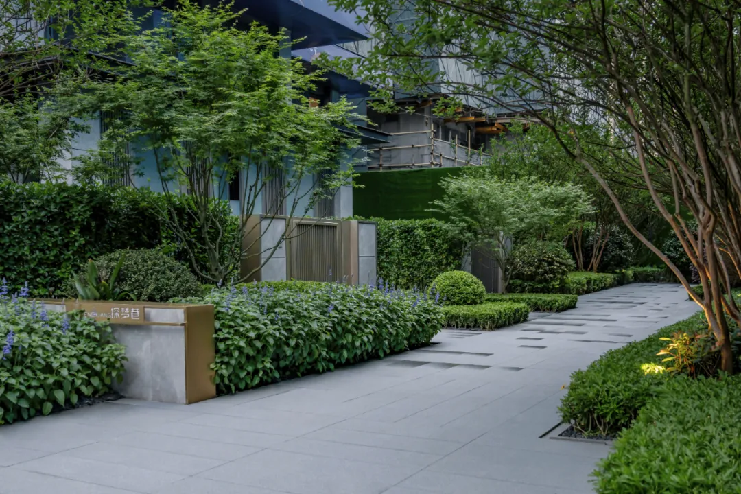 1749005053170342.jpg 1749005051565.jpg