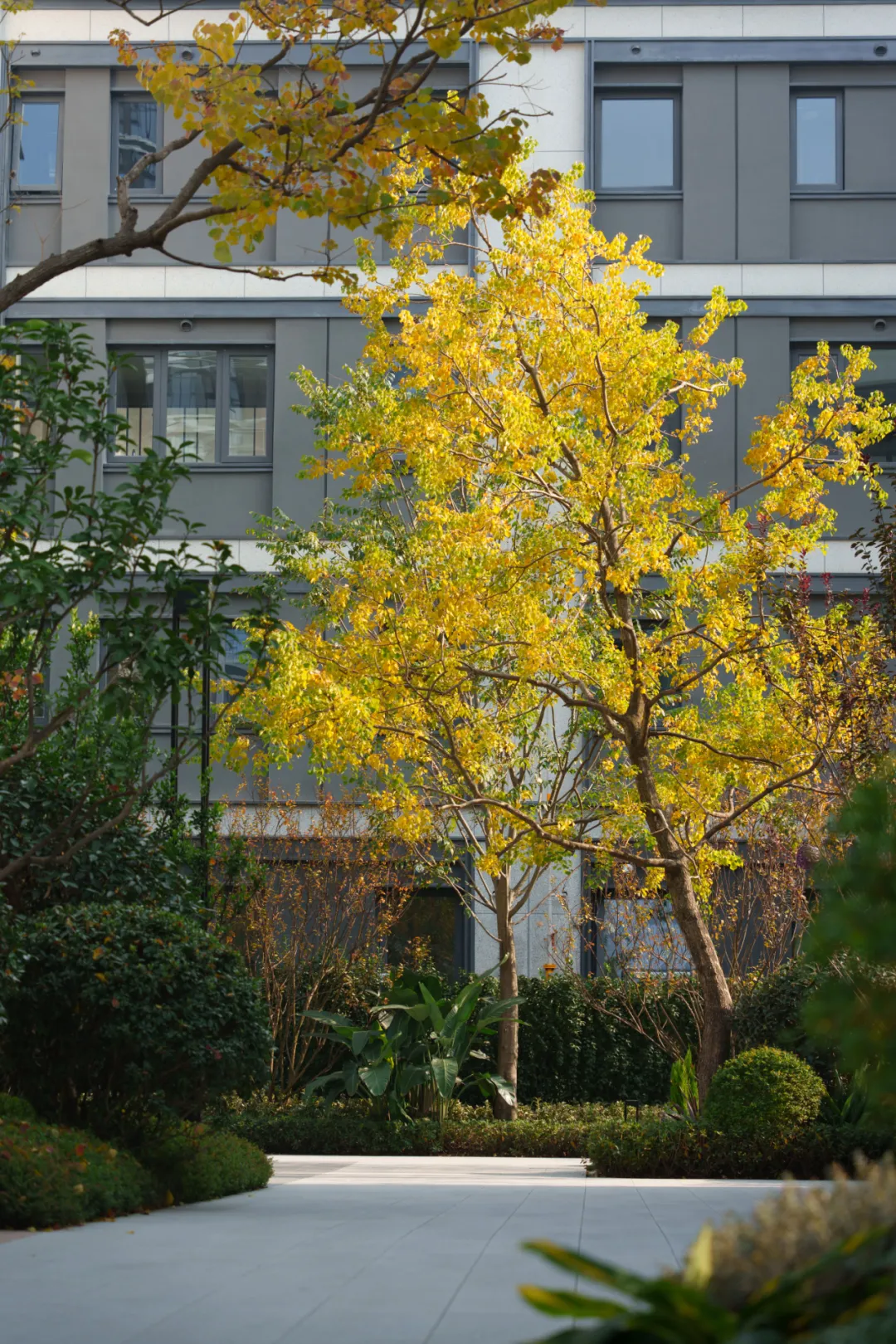 1749005211688128.jpg 1749005208020.jpg