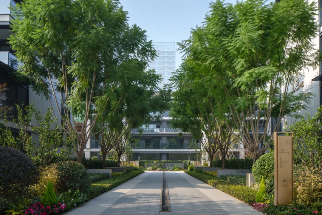 1749005248164995.jpg 1749005246836.jpg