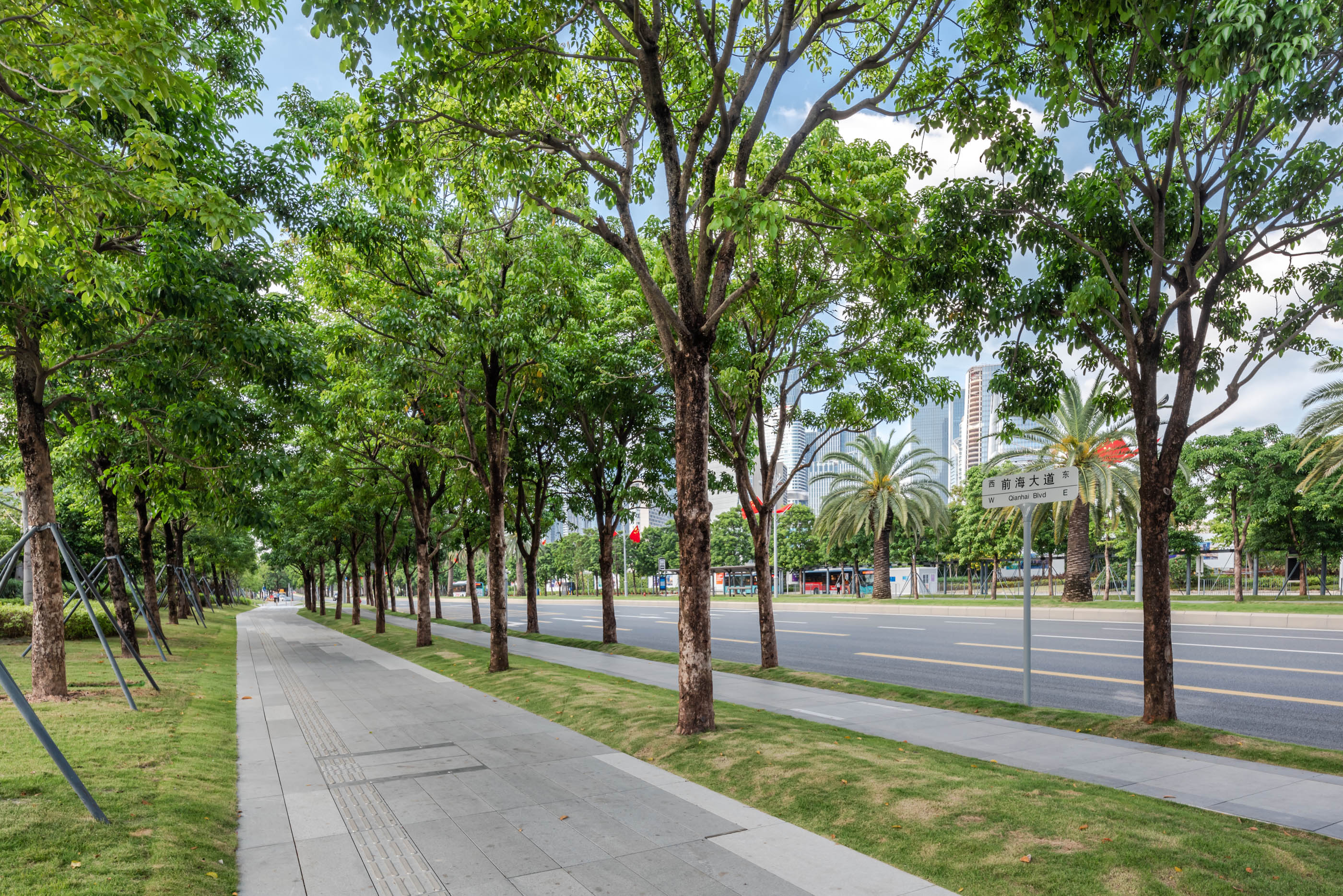 ��ʱ������(�й���)�������ǲ�!