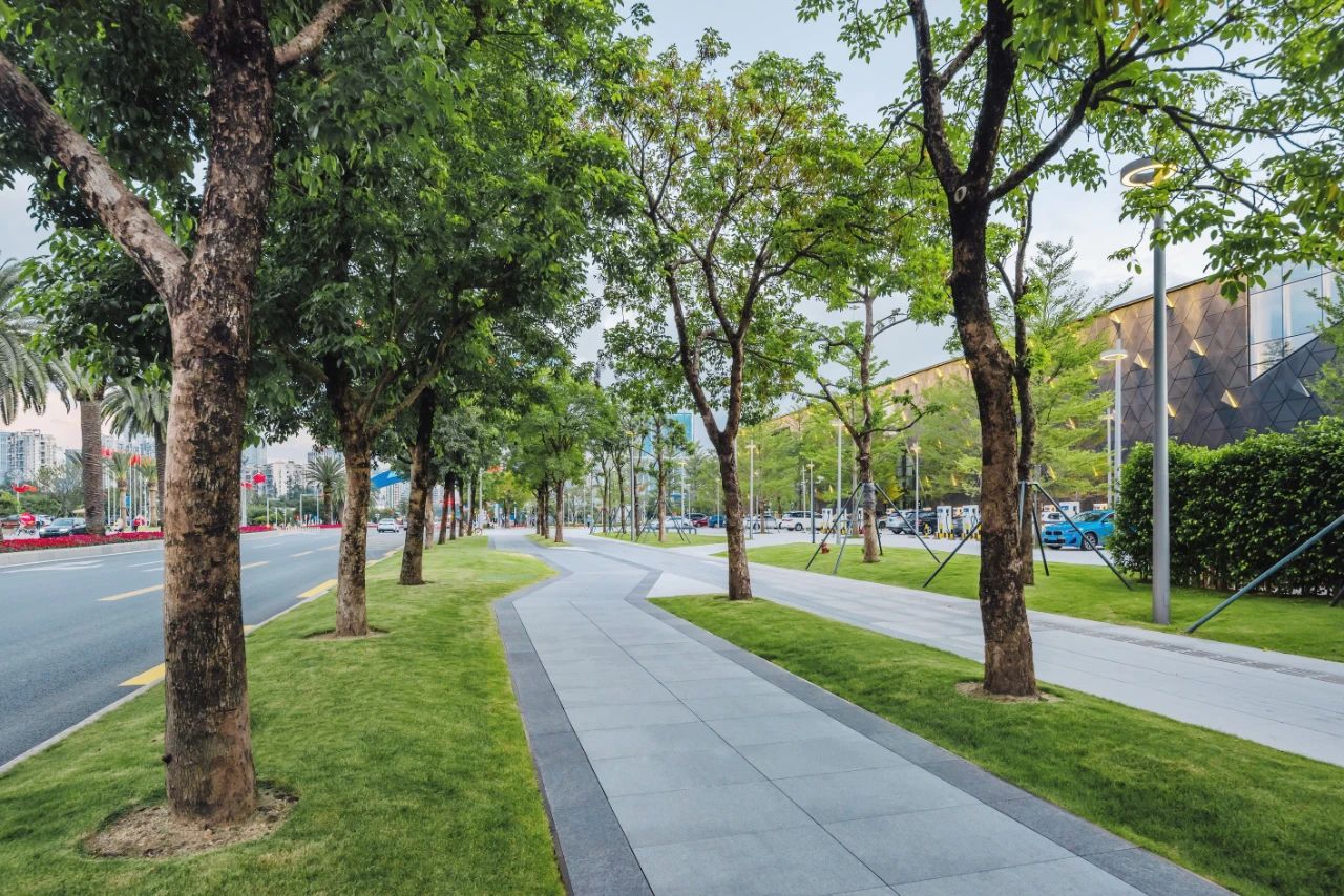 ��ʱ������(�й���)�������ǲ�!