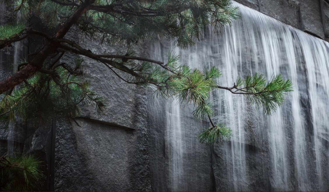 ×ðʱ¿Áú¡¤(ÖйúÇø)ÈËÉú¾ÍÊDz«!