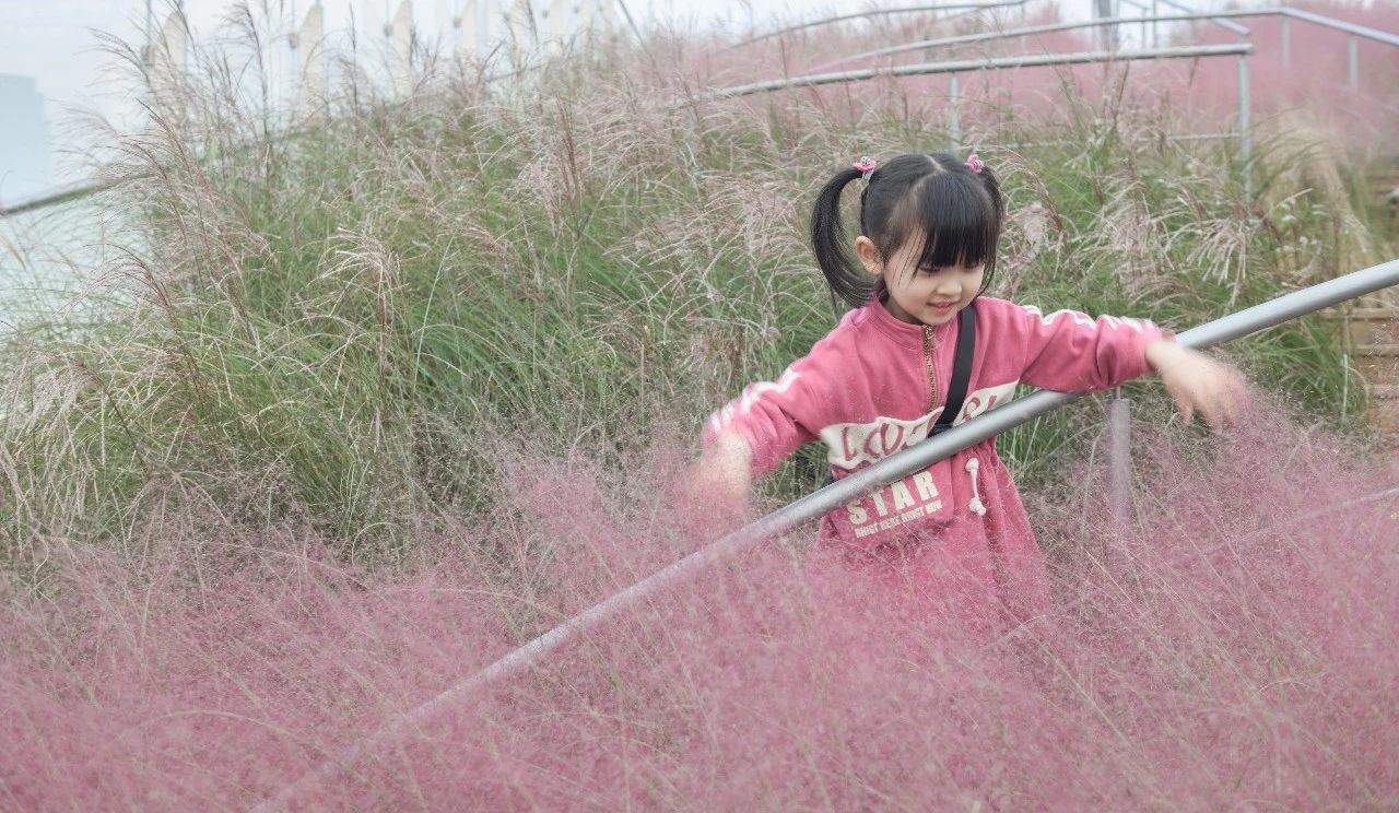 ��ʱ������(�й���)�������ǲ�!