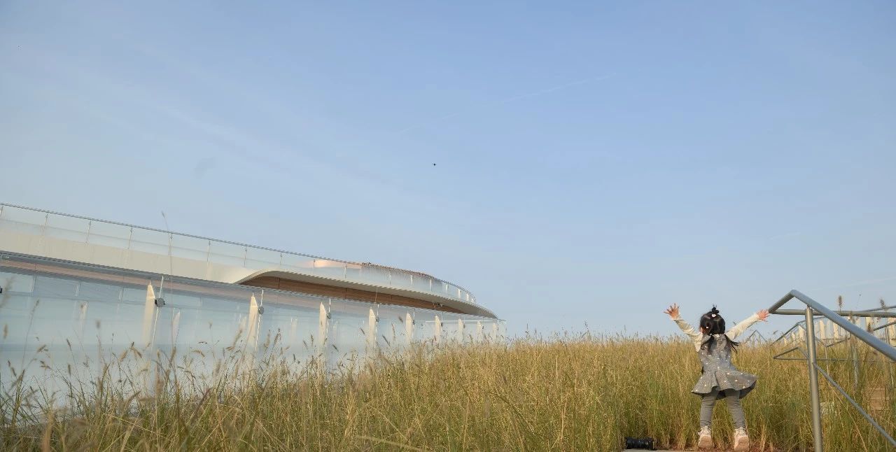 ��ʱ������(�й���)�������ǲ�!