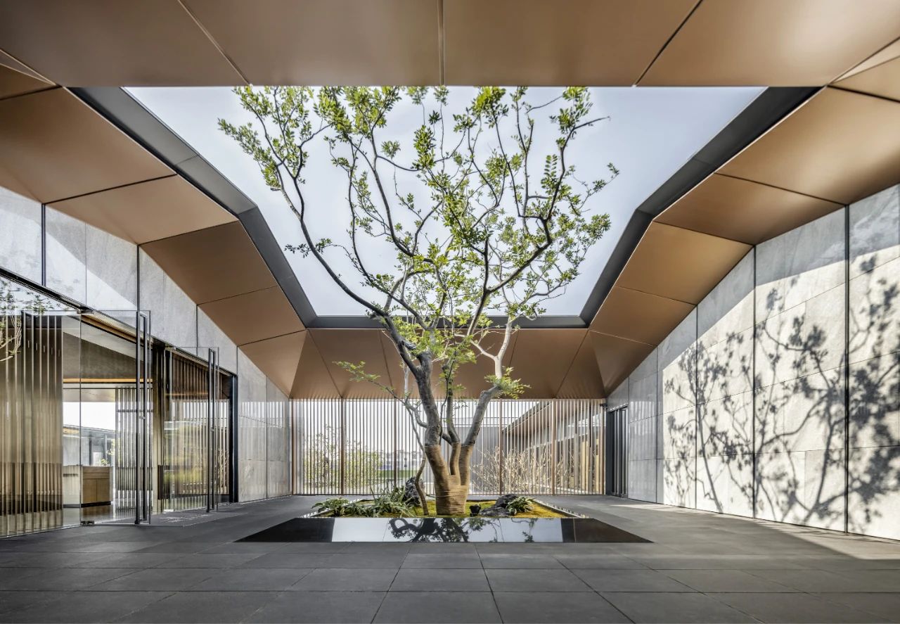 ��ʱ������(�й���)�������ǲ�!