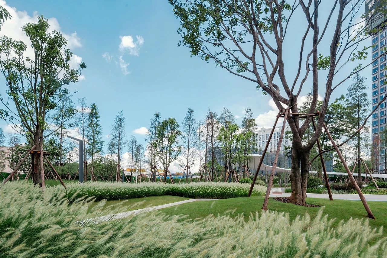 ��ʱ������(�й���)�������ǲ�!