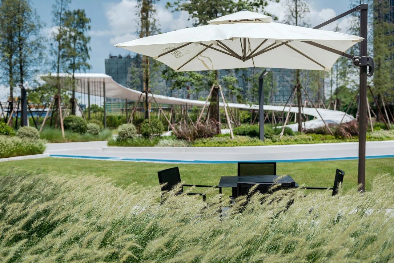 ��ʱ������(�й���)�������ǲ�!