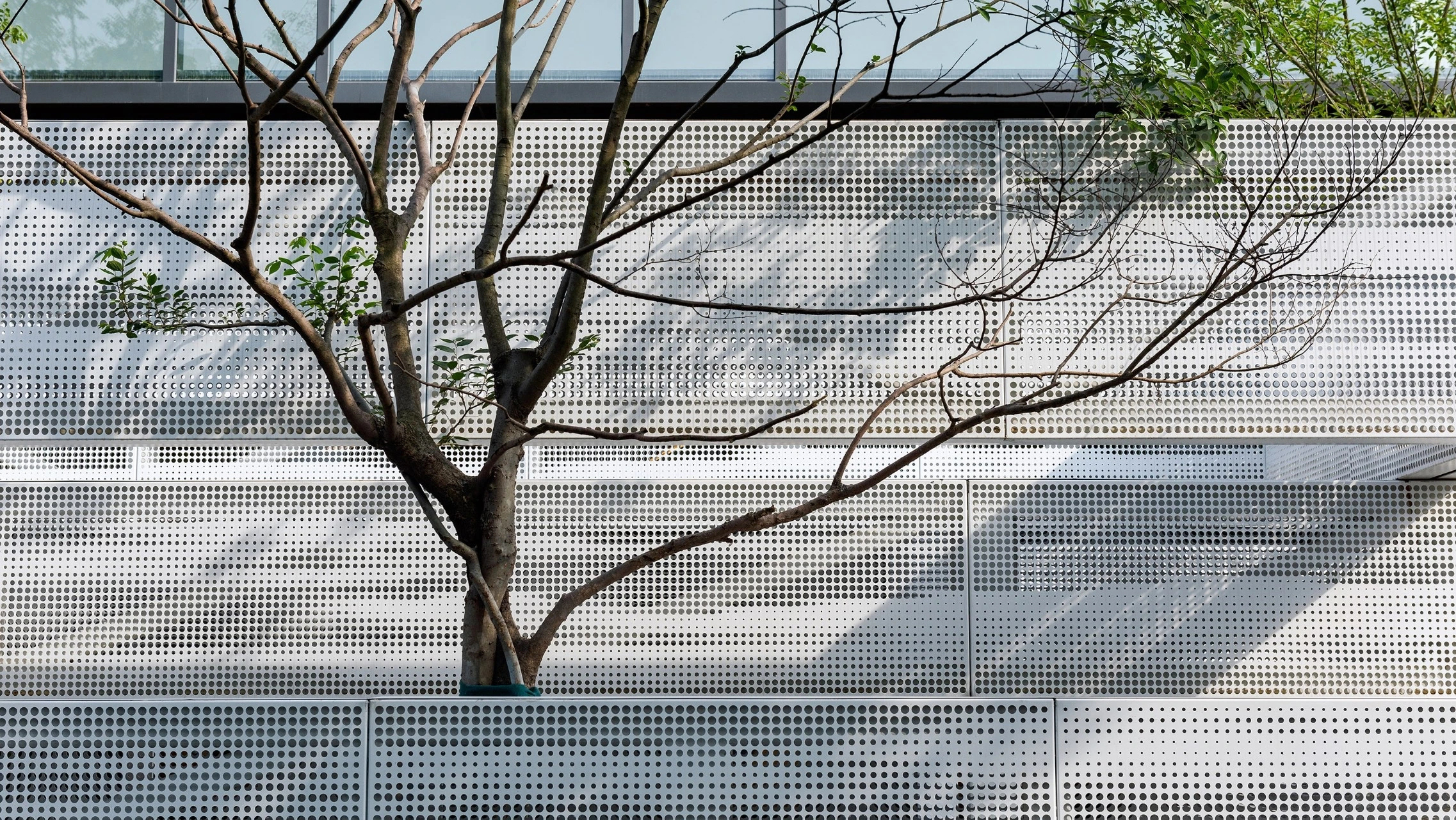 ��ʱ������(�й���)�������ǲ�!