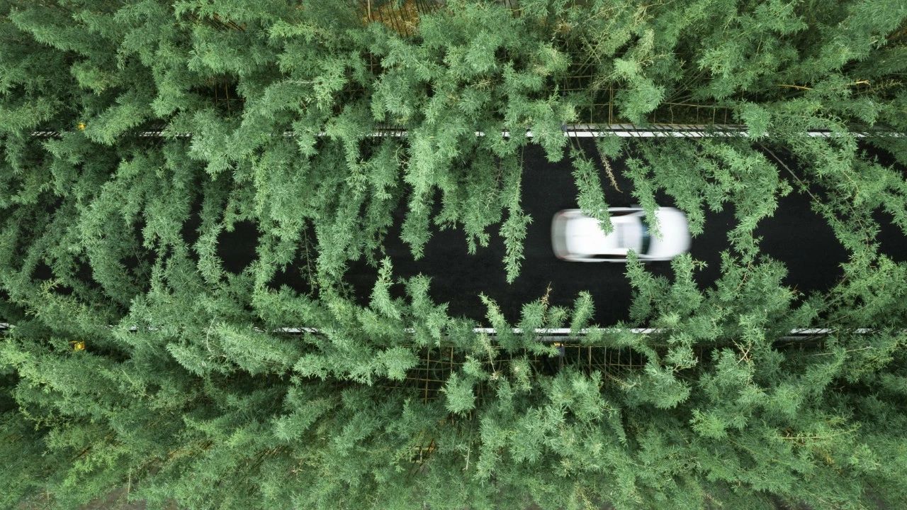 ��ʱ������(�й���)�������ǲ�!