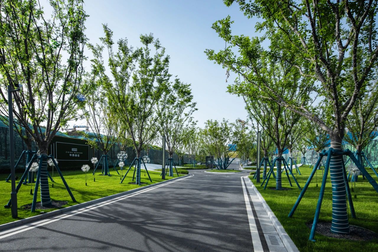 ��ʱ������(�й���)�������ǲ�!