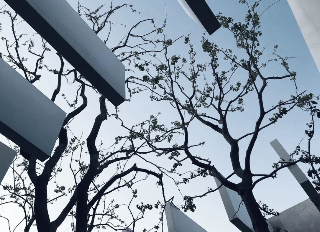 ��ʱ������(�й���)�������ǲ�!