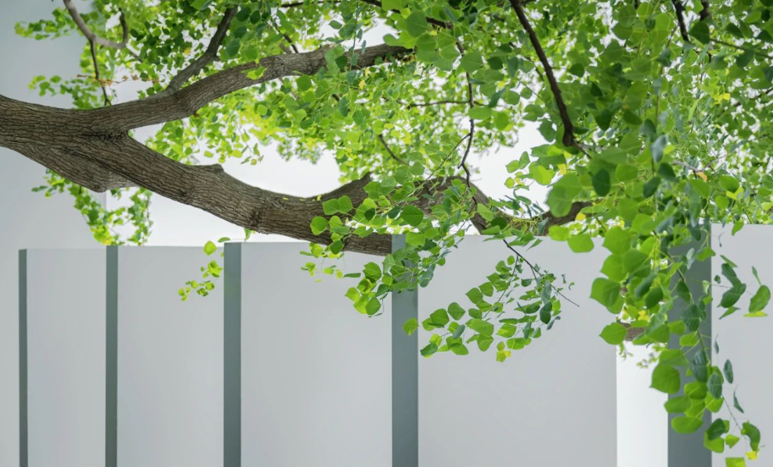 ��ʱ������(�й���)�������ǲ�!