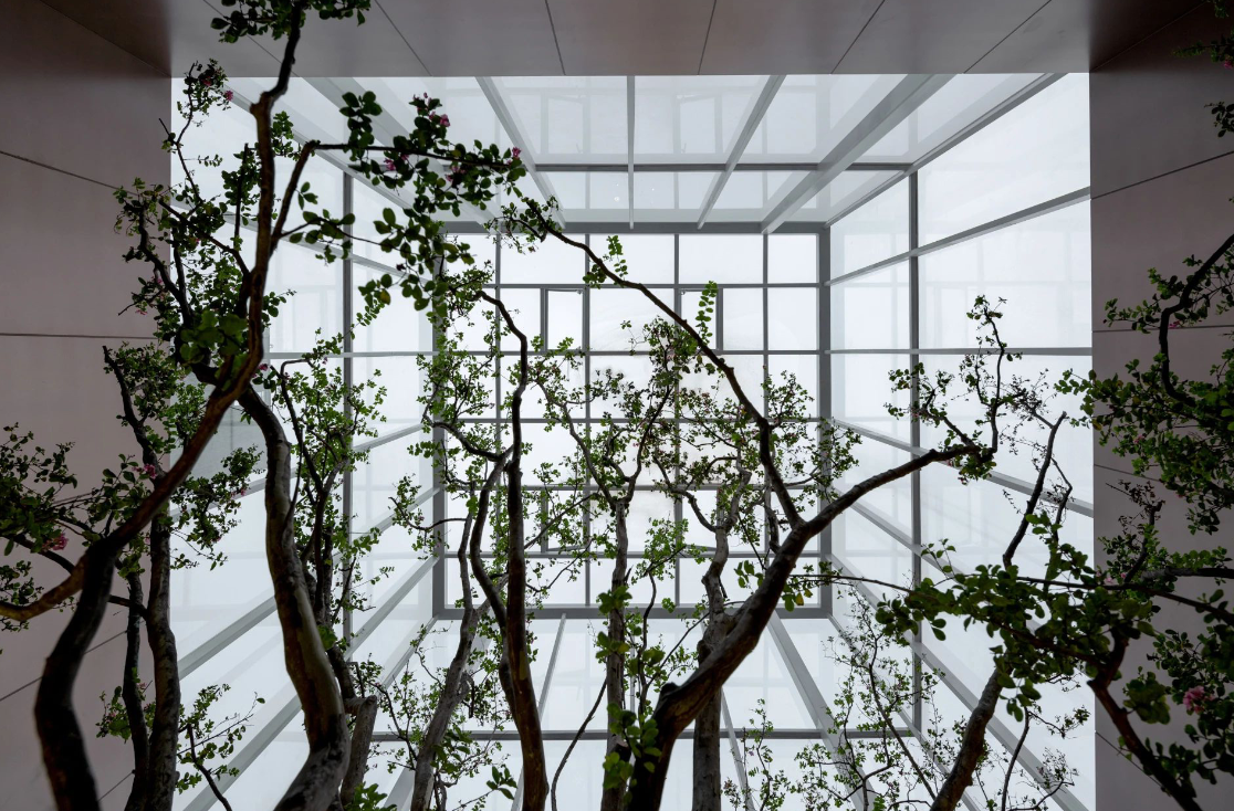 ��ʱ������(�й���)�������ǲ�!