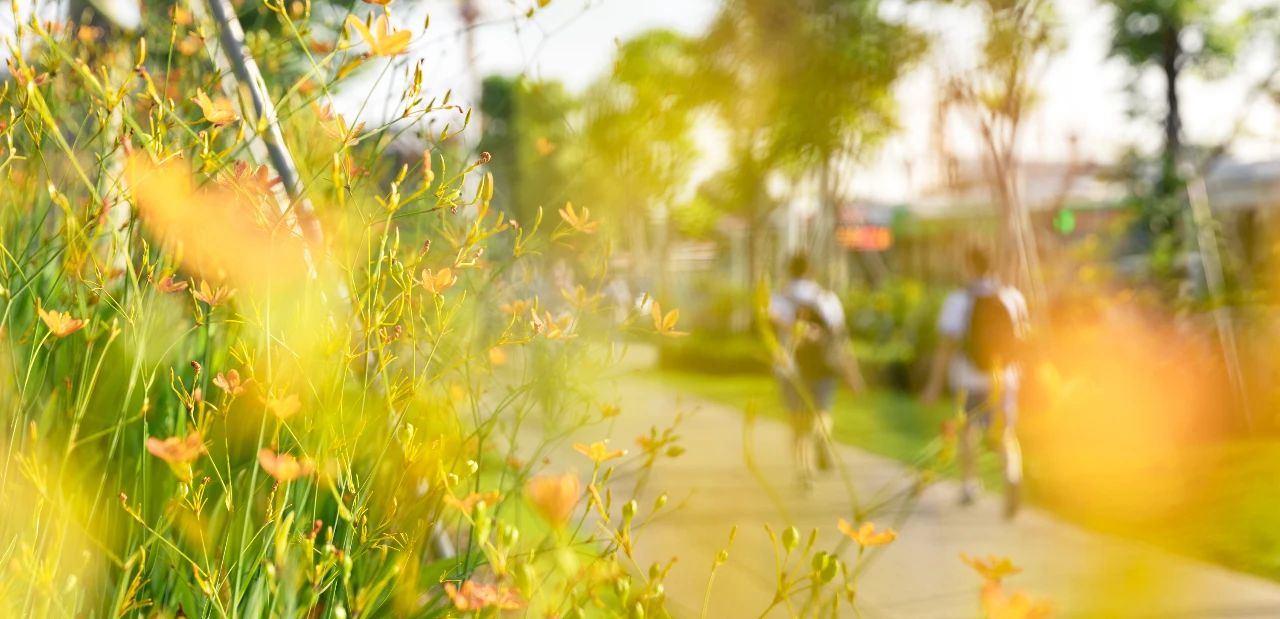 ��ʱ������(�й���)�������ǲ�!