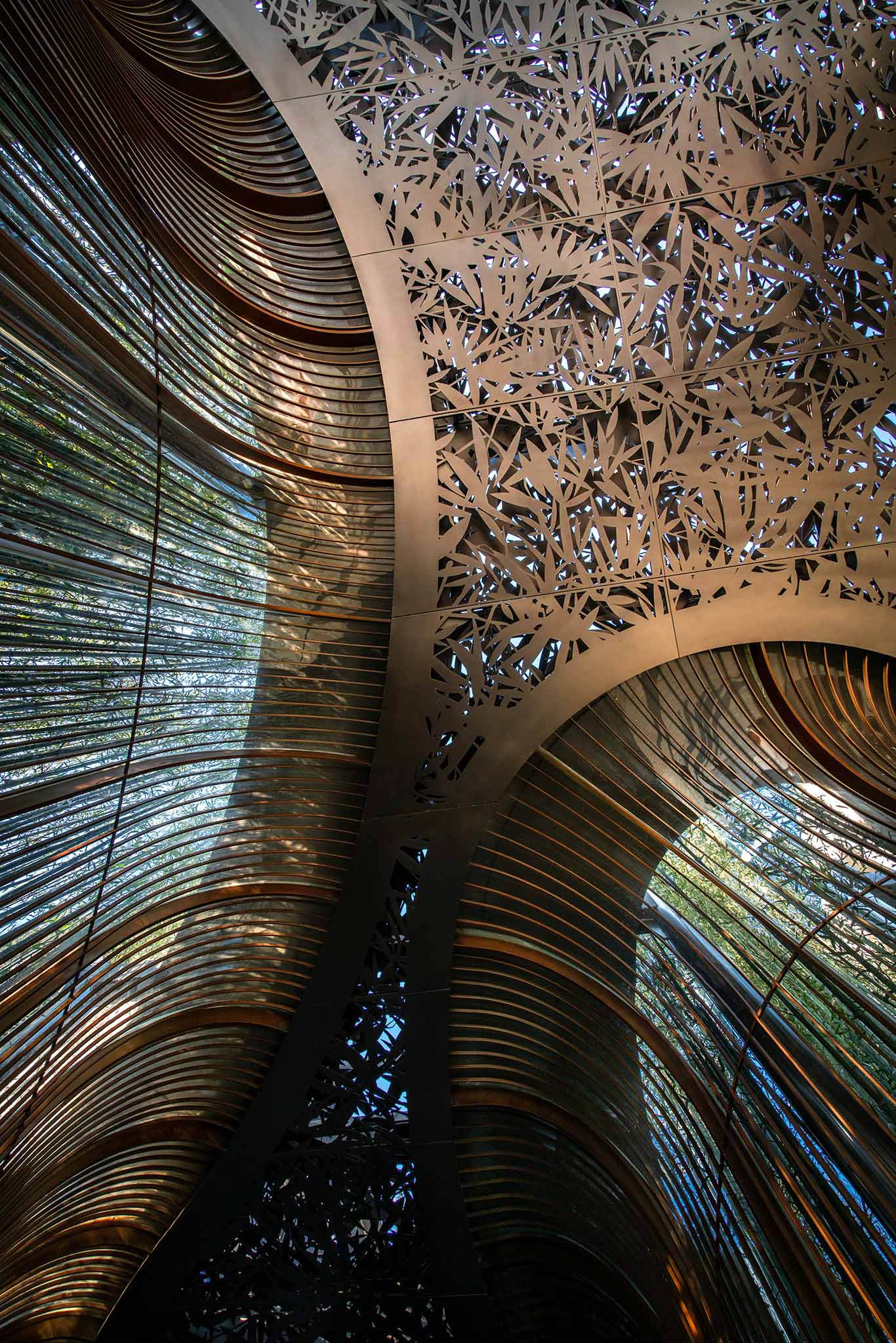 ��ʱ������(�й���)�������ǲ�!