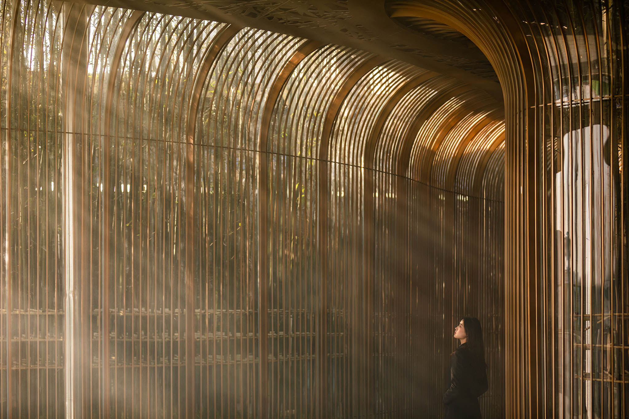 ��ʱ������(�й���)�������ǲ�!