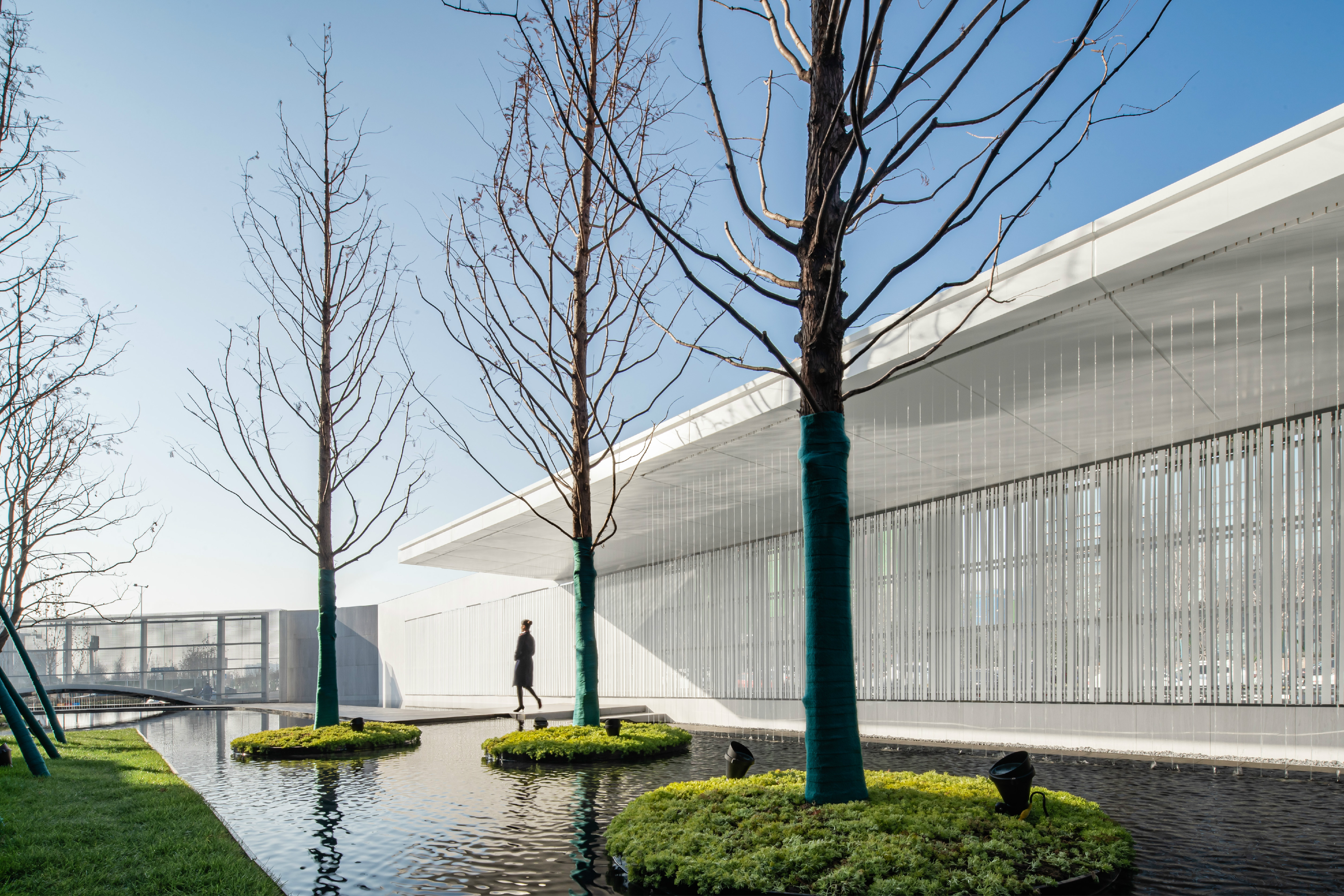 ��ʱ������(�й���)�������ǲ�!