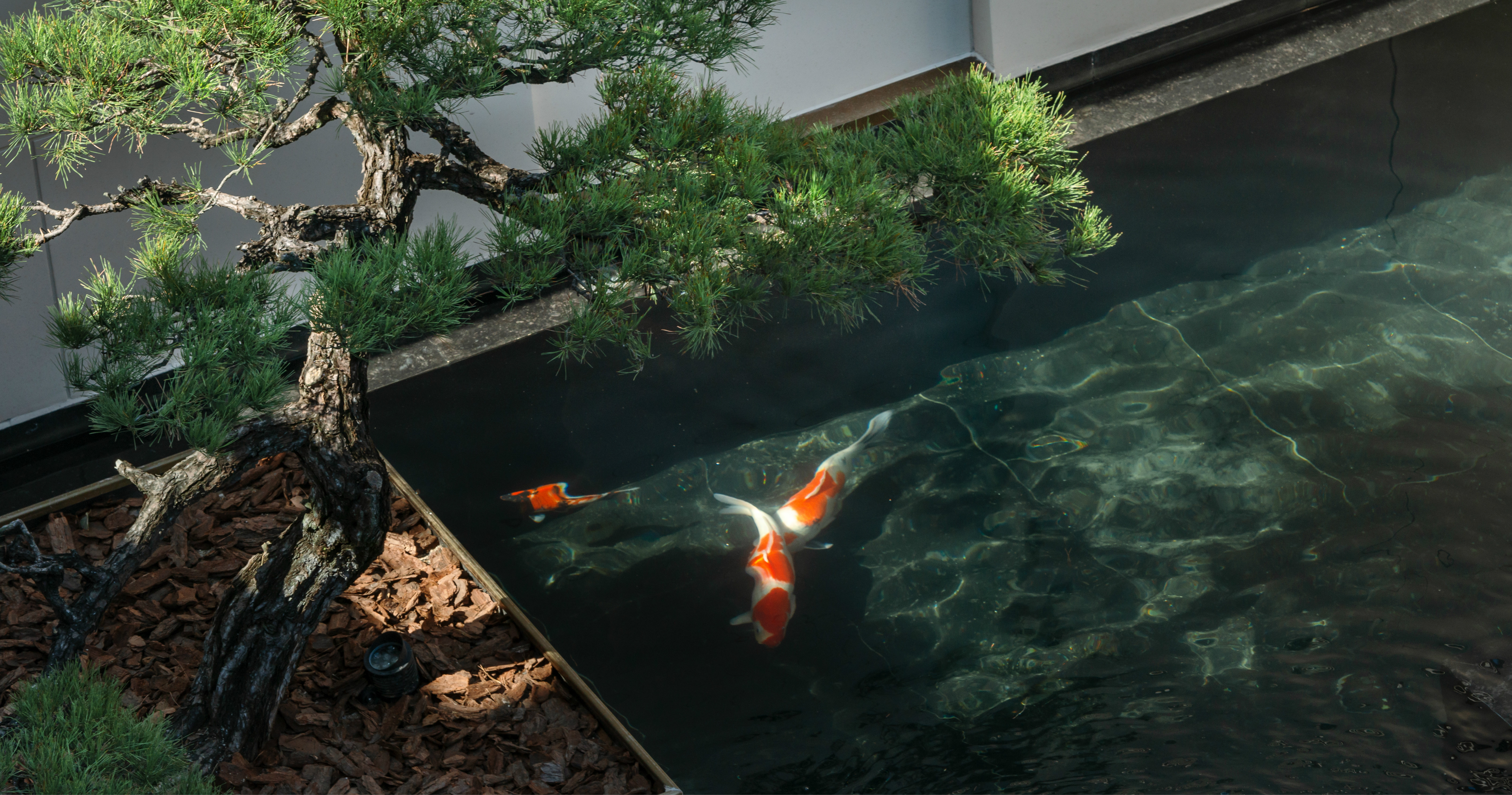 ��ʱ������(�й���)�������ǲ�!