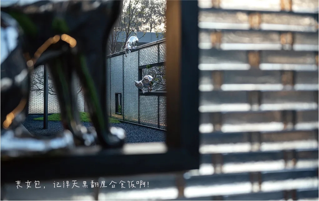 ×ðʱ¿Áú¡¤(ÖйúÇø)ÈËÉú¾ÍÊDz«!