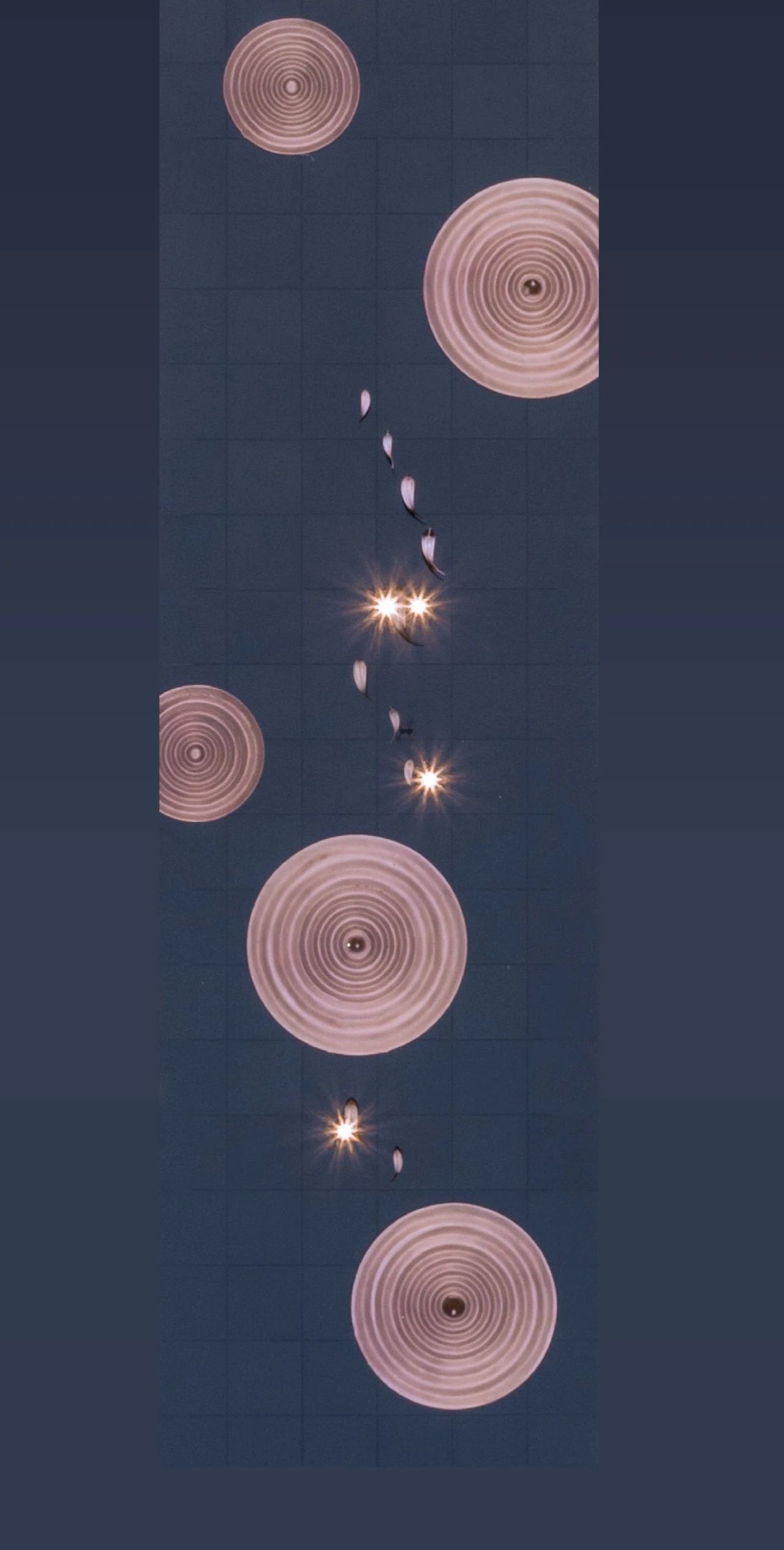 ×ðʱ¿Áú¡¤(ÖйúÇø)ÈËÉú¾ÍÊDz«!