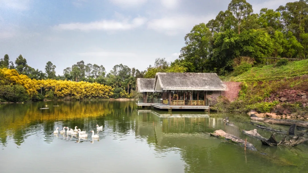 ��ʱ������(�й���)�������ǲ�!