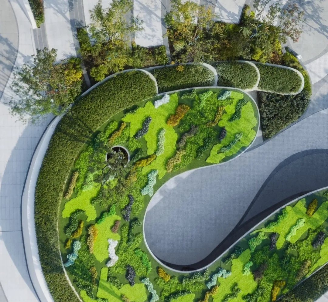 ×ðʱ¿Áú¡¤(ÖйúÇø)ÈËÉú¾ÍÊDz«!