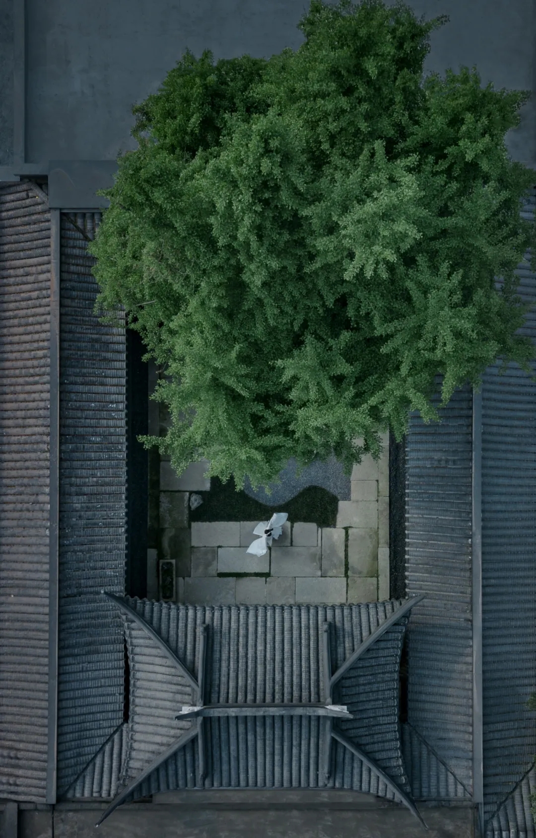 ×ðʱ¿Áú¡¤(ÖйúÇø)ÈËÉú¾ÍÊDz«!