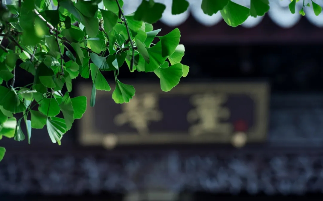 ×ðʱ¿Áú¡¤(ÖйúÇø)ÈËÉú¾ÍÊDz«!