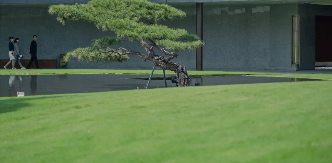 ��ʱ������(�й���)�������ǲ�!