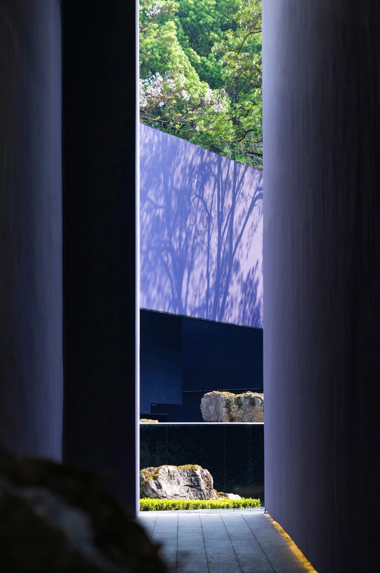 ��ʱ������(�й���)�������ǲ�!