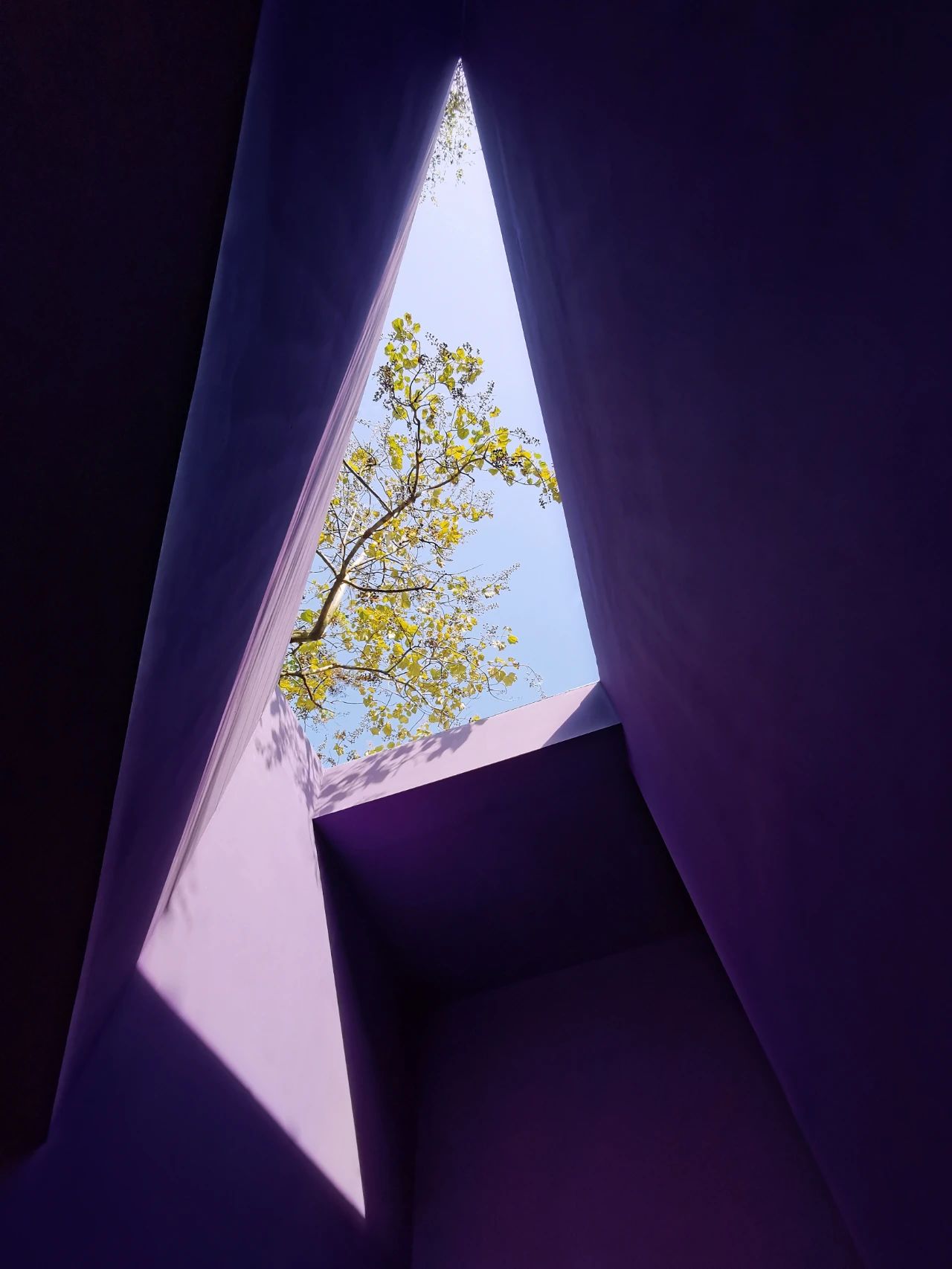 ×ðʱ¿Áú¡¤(ÖйúÇø)ÈËÉú¾ÍÊDz«!