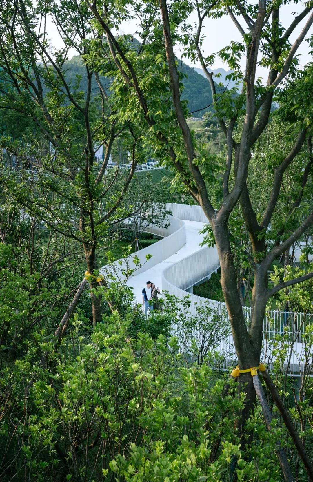 ��ʱ������(�й���)�������ǲ�!