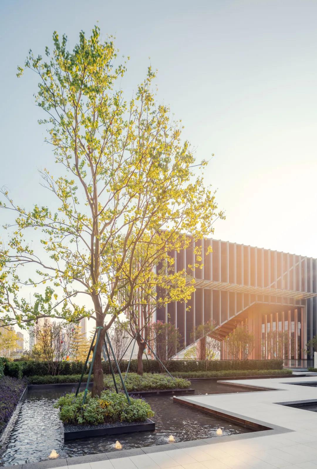 ��ʱ������(�й���)�������ǲ�!